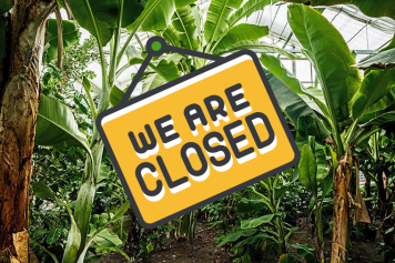 Ab dem 21. Mai 2024 gibt es keine Erlebniswelt und kein Restaurant mehr