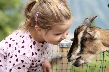 Spannender und lehrreicher Themenweg in Braunwald