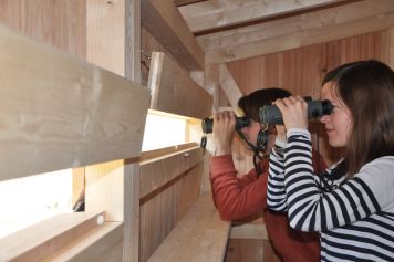 Entdecken Sie die faszinierende Tier- und Pflanzenwelt des Rieds