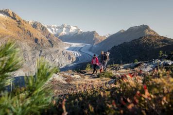 Entdecken Sie den Wanderpass Aletsch+