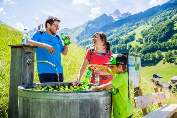 Kühle Erfrischung mit ELMER Citro