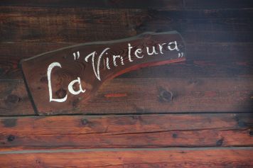 Spielerisch unterwegs mit dem Murmeltier Charlotte