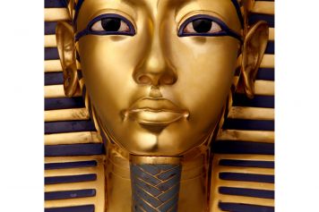 Weltweit beliebte Ausstellung vom 10. Juli 2020 bis 20. April 2021 in der Halle 622 in Zürich-Oerlikon