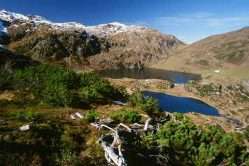 Wanderung durch das Naturwalddreservat Murgtal