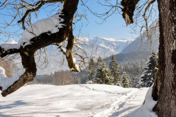 Geführte Schneeschuhtour durch das Klöntal am 6. Februar 2022
