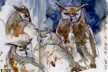 Zeichnen im Natur- und Tierpark Goldau am 24. Juni 2022