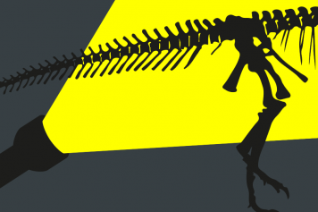 Mit der Taschenlampe durch das Kulturama – von November 2023 bis Februar 2024