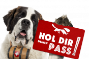 Das gesamte Angebot des Pays du Saint-Bernard in einem einzigen PASS!