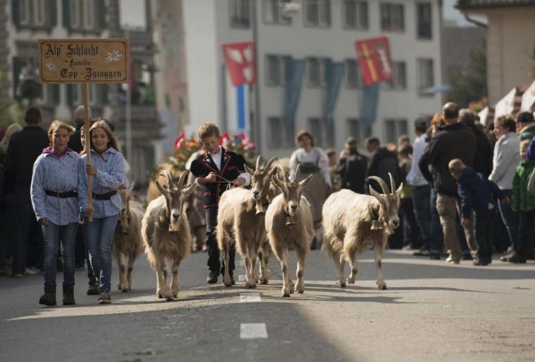 csm_entlebucher-alpabfahrt-volksfest-trachten-ziegenherde_d1cb5595a2.jpg csm_entlebucher-alpabfahrt-volksfest-trachten-ziegenherde_d1cb5595a2.jpg