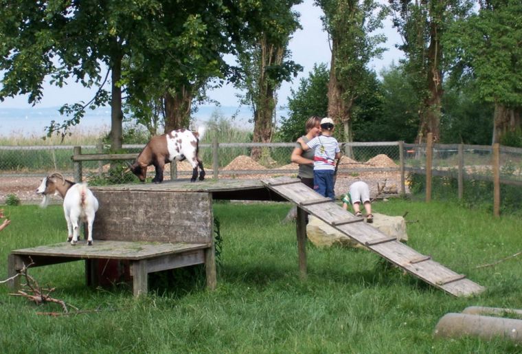 Sunnehüsli Güttingen 5.jpg Sunnehüsli Güttingen 5.jpg