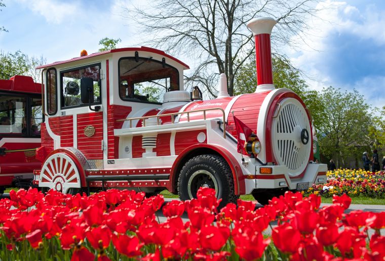 Tulpenfest Morges 2.jpg Tulpenfest Morges 2.jpg