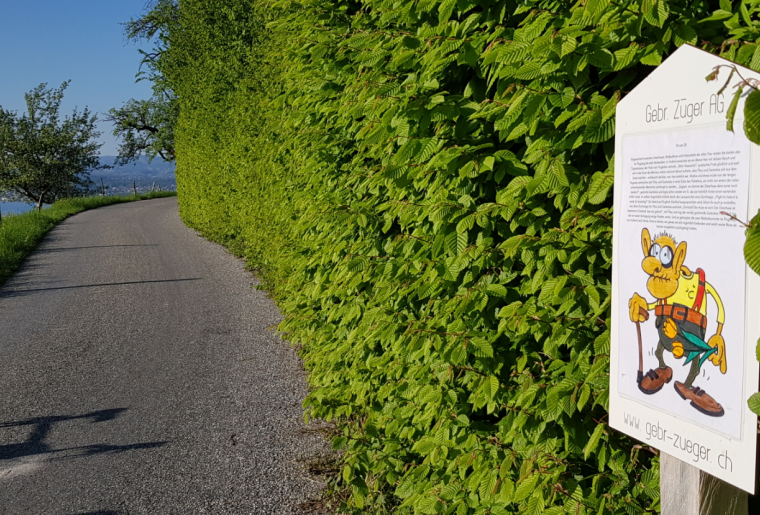 Osterweg Altendorf 3.png Osterweg Altendorf 3.png