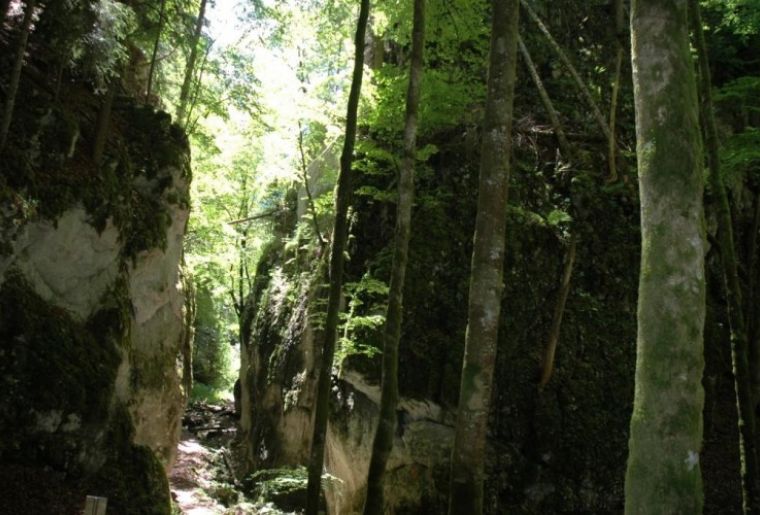 Wolfsschlucht.JPG Wolfsschlucht.JPG