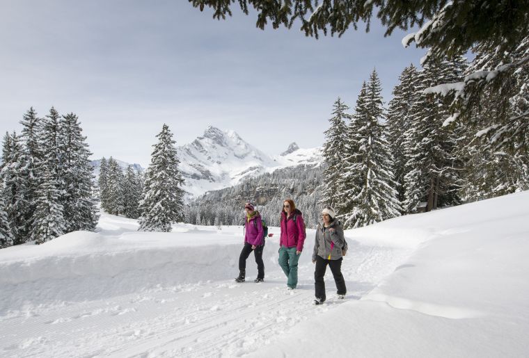 Gourmetwanderung Braunwald 1.jpg Gourmetwanderung Braunwald 1.jpg
