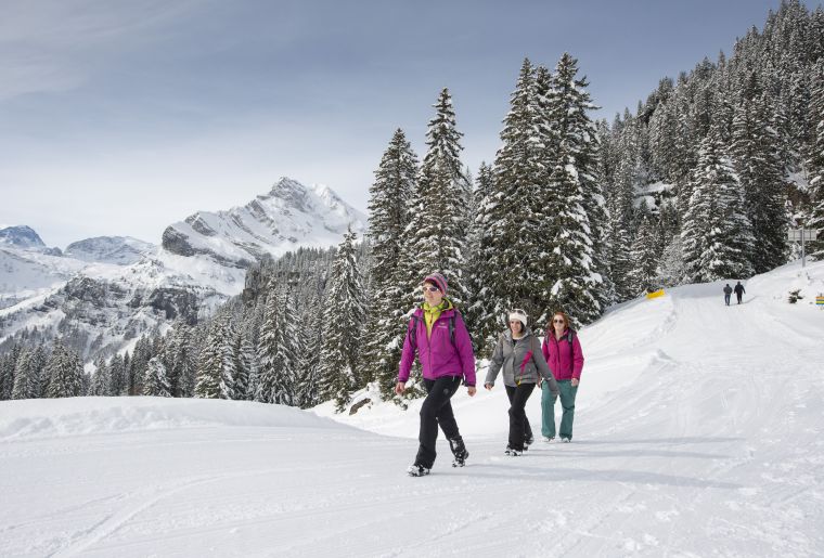 Gourmetwanderung Braunwald 2.jpg Gourmetwanderung Braunwald 2.jpg