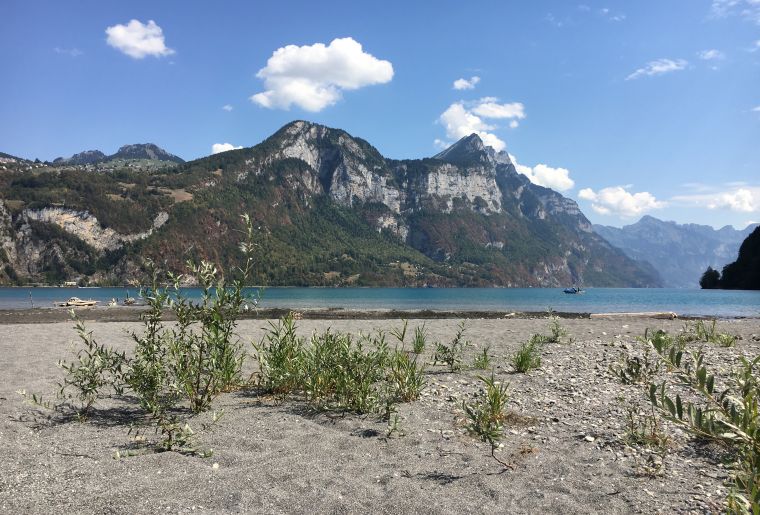 19. Etappe_walensee_mkl.jpg 19. Etappe_walensee_mkl.jpg