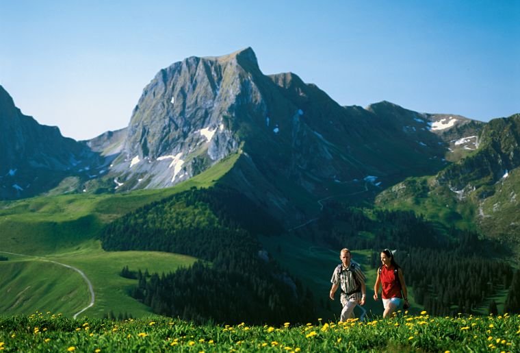 Swiss_Image_sts3546.jpg Swiss_Image_sts3546.jpg