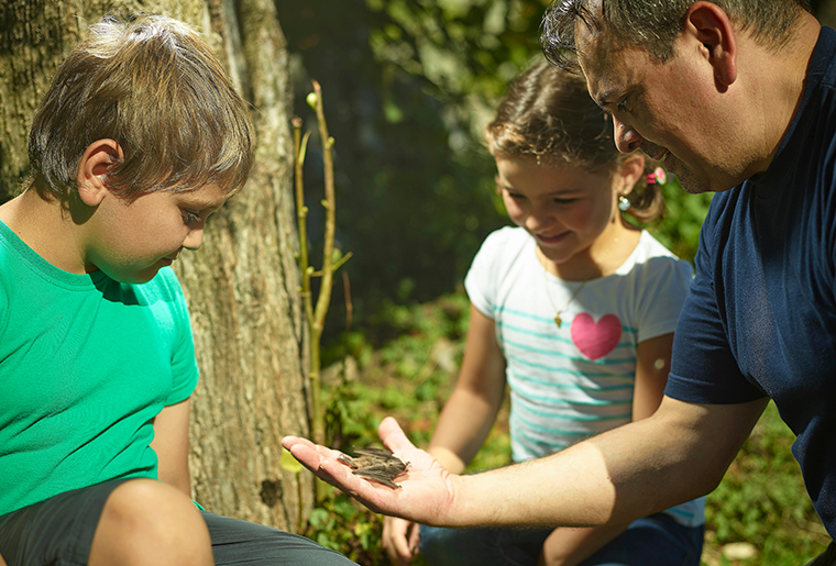 Wildtierbeobachtung Kambly Sommerprogramm 2020.png Wildtierbeobachtung Kambly Sommerprogramm 2020.png