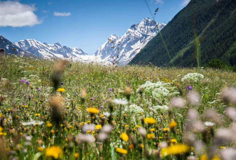 Lötschental.png Lötschental.png