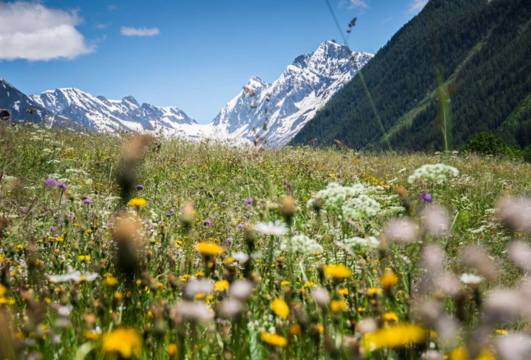 Lötschental.png