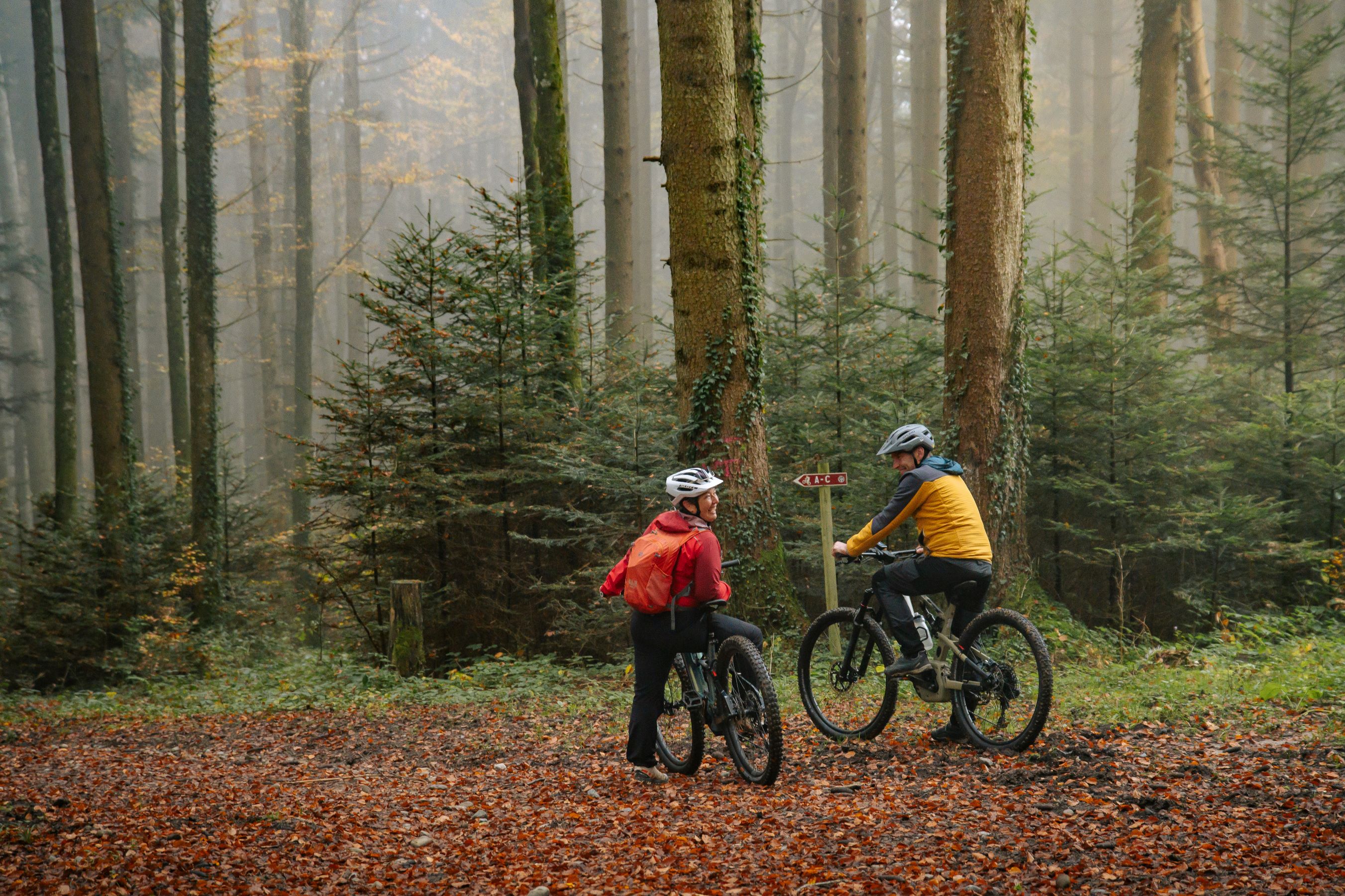 Mountainbike Velo Trails Romont
